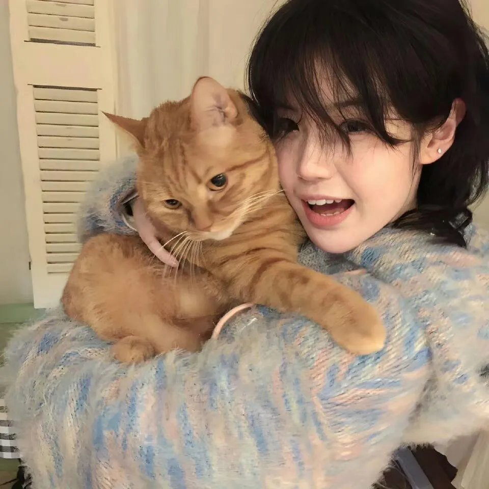 一个姑爷半个儿第二部