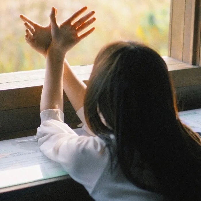 将军家的小娘子